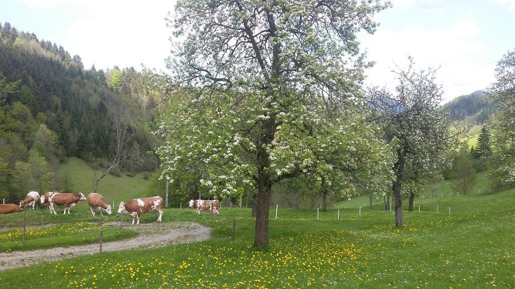 Eggbauer Villa Sankt Anton an der Jessnitz Dış mekan fotoğraf